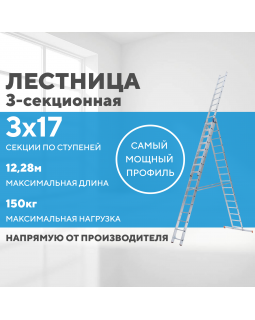 Лестница алюминиевая 3х17 (12,28м)